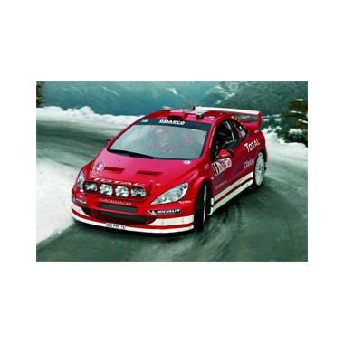 Maquette Peugeot 307 WRC 2004