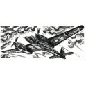 Maquette Focke-Wulf Fw-187 Falke