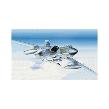 Maquette Panavia Tornado ECR, Epoque moderne