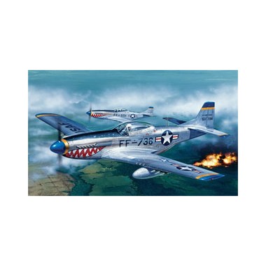 Maquette P-51D Mustang, 2ème GM 