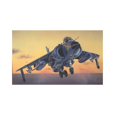 Maquette Hawker Sea Harrier FRS.1, Epoque moderne