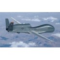 Maquette Northrop Grumman Drone RQ-4 Global Hawk, Epoque moderne