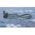 Maquette Northrop Grumman Drone RQ-4 Global Hawk, Epoque moderne