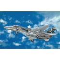 Maquette F-14A Tomcat, Epoque moderne 