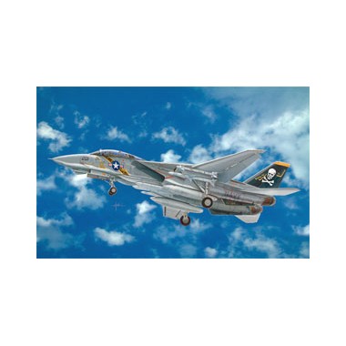 Maquette F-14A Tomcat, Epoque moderne 