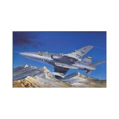 Maquette Hawk T. Mk.1, Epoque moderne