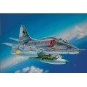 Maquette A-4 E/F/G Skyhawk, Epoque moderne