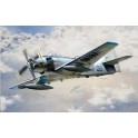 Maquette Douglas AD-4 Skyraider, Epoque moderne