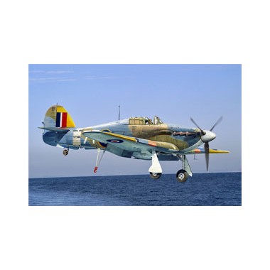 Maquette Sea Hurricane, 2ème GM