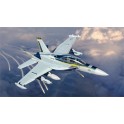 Maquette EA-18G Growler