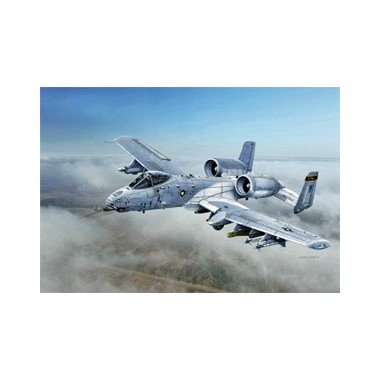 Maquette A-10C "Blacksnakes" 