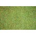 Tapis d'herbe Prairie fleurie 120 x 60