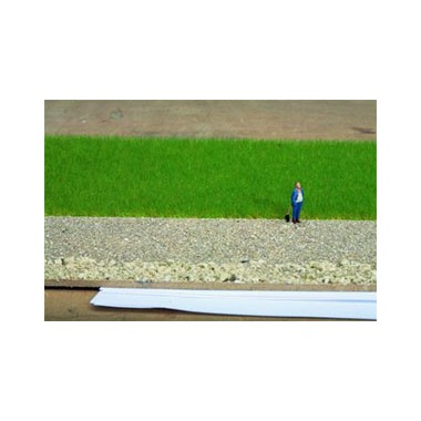 Mélange d'herbes pâturages Mélange d'herbes pâturages