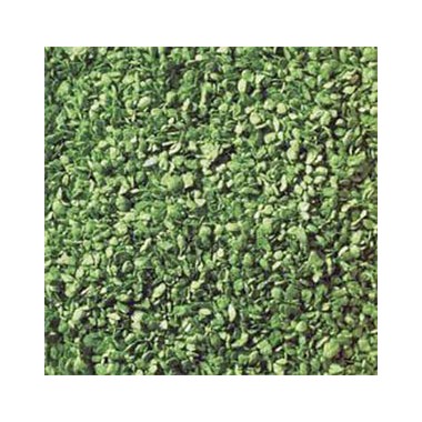 Feuillage couleur vert clair, 50 g.