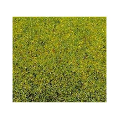 Fibre statique Herbe de prairie, Printemps Fibre statique Herbe de prairie, Printemps
