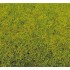 Fibre statique Herbe de prairie, Printemps 