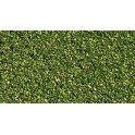 Flocage Alpage, Vert Clair
