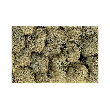 Lichens gris, 35 g. 