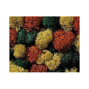 Lichens automne XL, 75 g. 