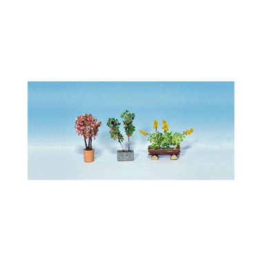 Plantes ornementales en pots