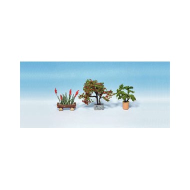 Plantes ornementales en pots