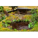 Plantes aquatiques