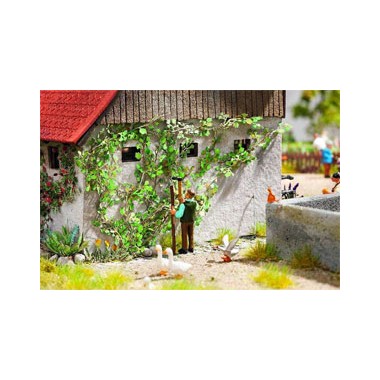 Laser-Cut minis Vigne vierge