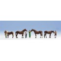 Figurines Soins des chevaux 