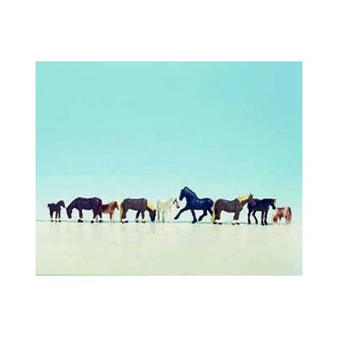 Figurines Chevaux