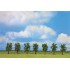 Arbres fruitiers verts