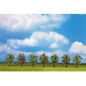 Arbres fruitiers en floraison