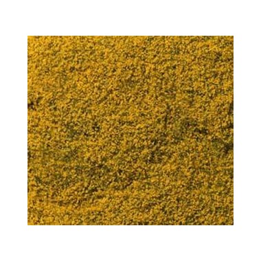 Feuillage Fleurs dorées, 10 g. 