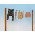 Linge étendu