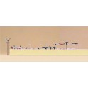 Figurines Oiseaux assortis