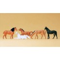Figurines Chevaux