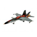 Maquette F/A-18C Hornet, Epoque moderne 