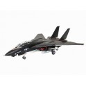 Maquette F-14A Black Tomcat, Epoque moderne 