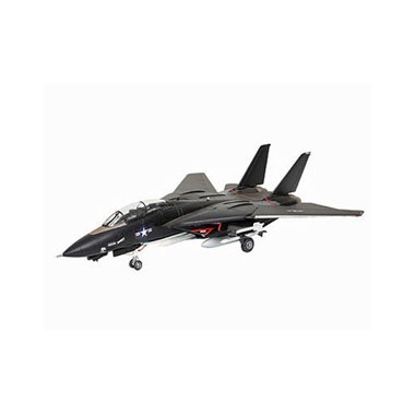 Maquette F-14A Black Tomcat, Epoque moderne 