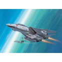 Maquette F-14D Super Tomcat, Epoque moderne