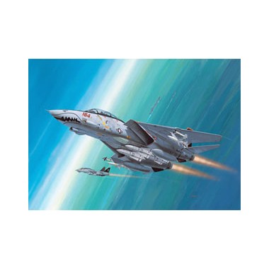 Maquette F-14D Super Tomcat, Epoque moderne