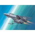 Maquette F-14D Super Tomcat, Epoque moderne