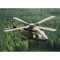 Maquette Eurocopter NH90 TTH OTAN, Epoque moderne