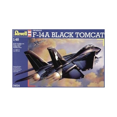 Maquette Grumman F-14A Black Tomcat, Epoque moderne