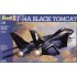 Maquette Grumman F-14A Black Tomcat, Epoque moderne
