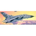 Maquette Tornado ECR "Tigermeet", Epoque moderne