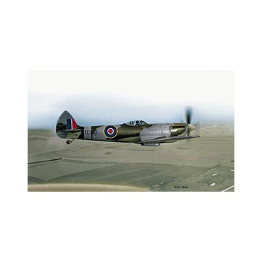 Maquette Spitfire Mk.XVI