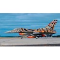 Maquette Lockheed Martin F-16C Block 52 "Tiger Meet" 2003