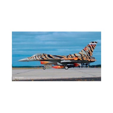 Maquette Lockheed Martin F-16C Block 52 "Tiger Meet" 2003