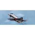 Maquette Grumman F-4F Phantom 50ème Anniversaire JG71, Epoque moderne