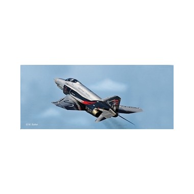 Maquette Grumman F-4F Phantom 50ème Anniversaire JG71, Epoque moderne